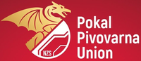 Кубок Pivovarna Union
