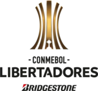 Copa CONMEBOL Libertadores Bridgestone