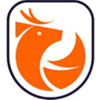 Примера-Дивизион Mercado Libre