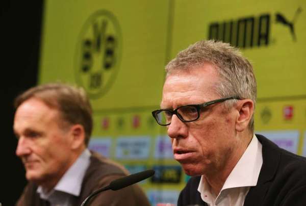 Петер Штегер