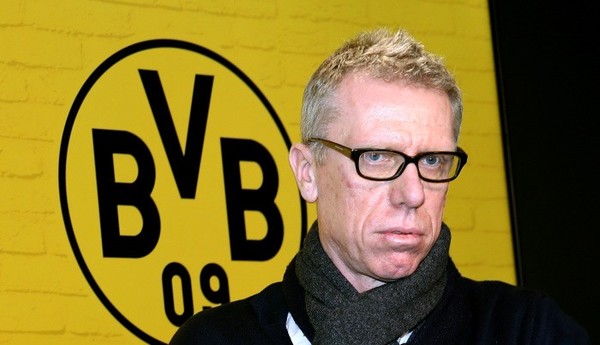 Петер Штегер