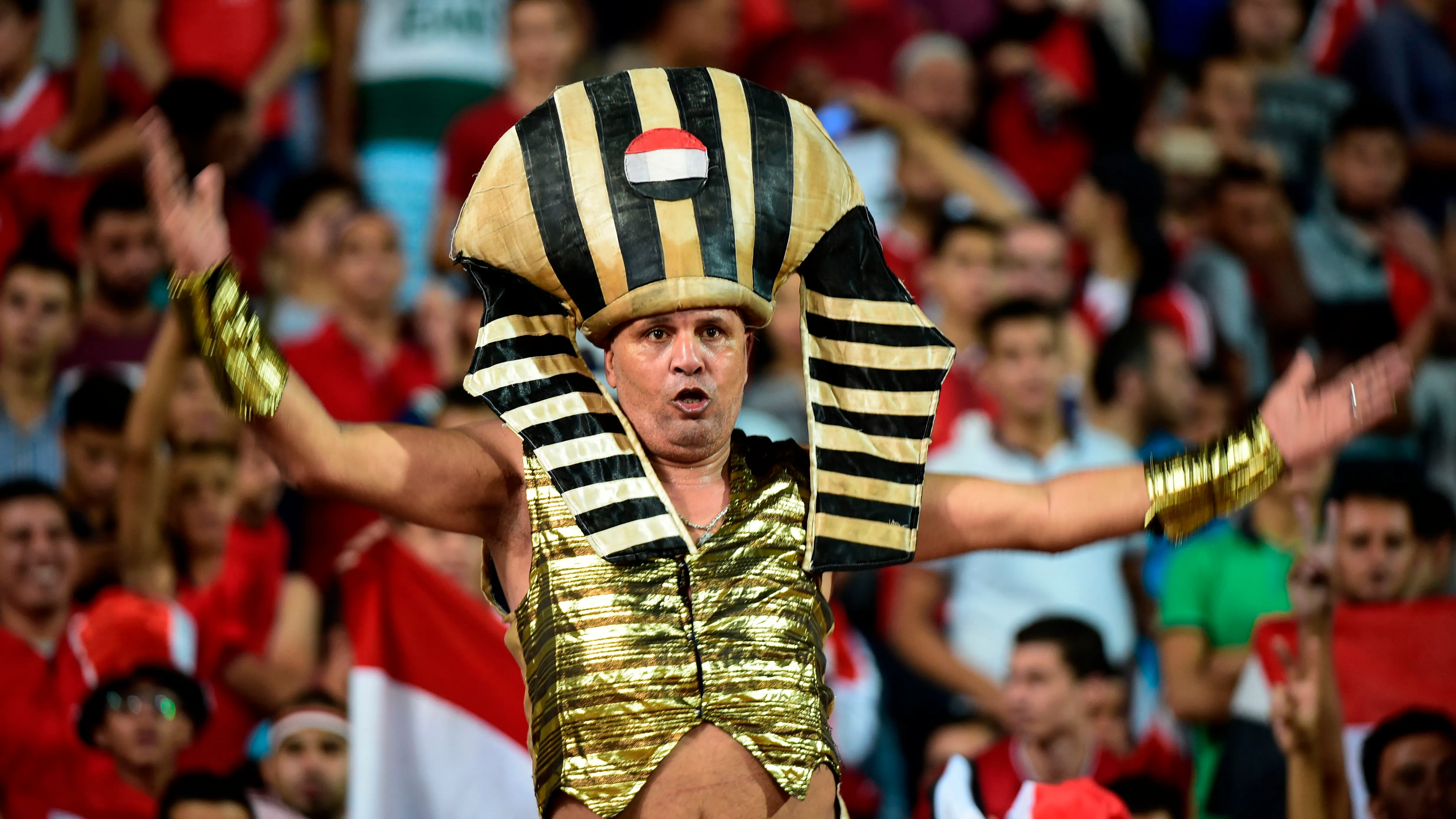 Болельщик сборной Египта Болельщик сборной Египта