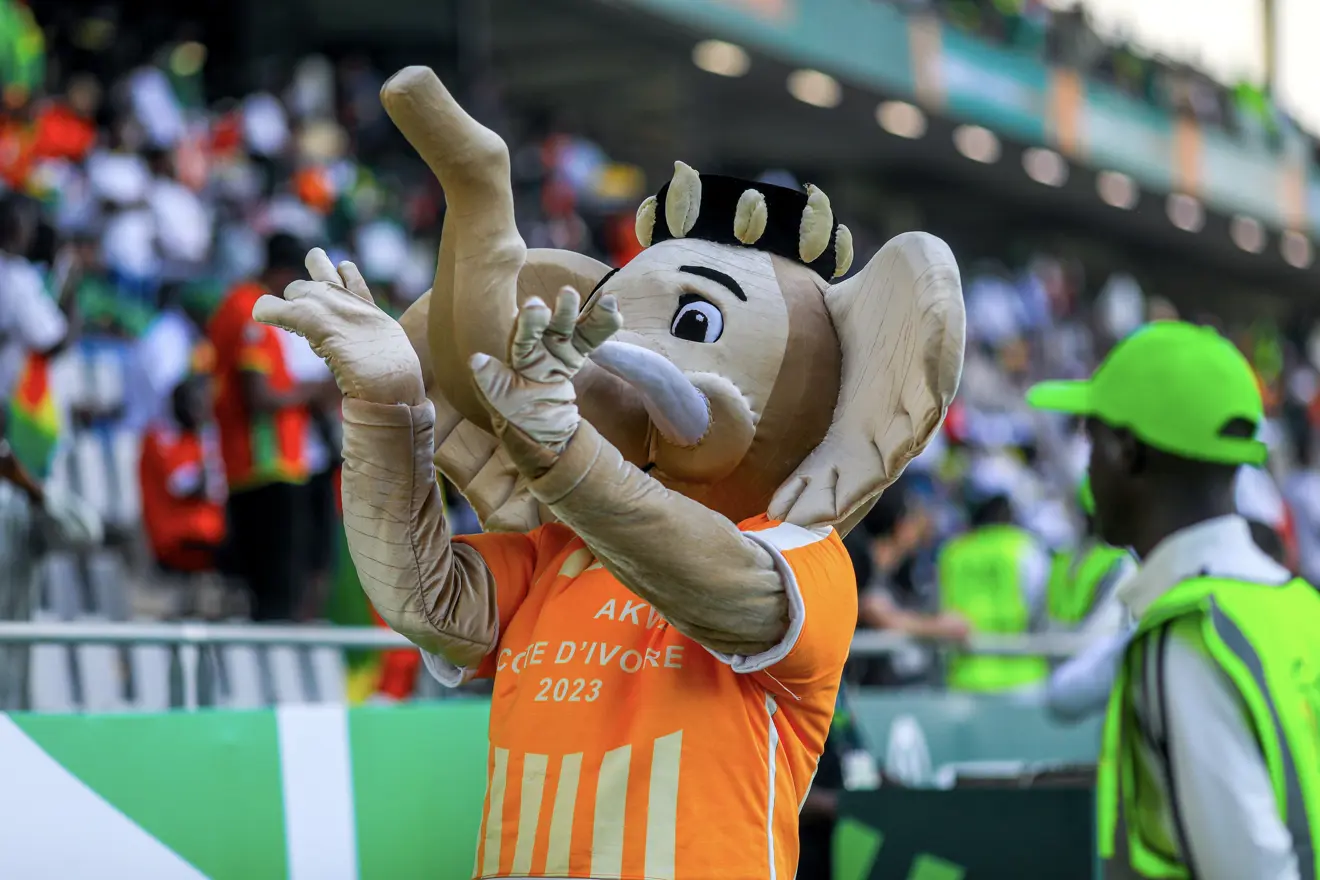 Маскот Кубка африканских наций-2023 Маскот Кубка африканских наций-2023