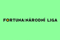 Fortuna Narodna Liga