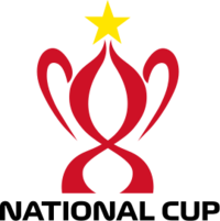 Vietnamese Cup