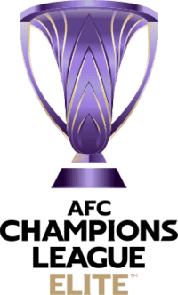 Лига чемпионов АФК Элита
