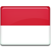 Индонезия XI
