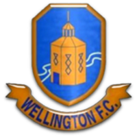 Wellington Town