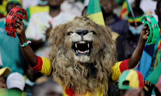 От морских глубин до звёздного неба – как прозвища сборных характеризуют команды Кубка африканских наций