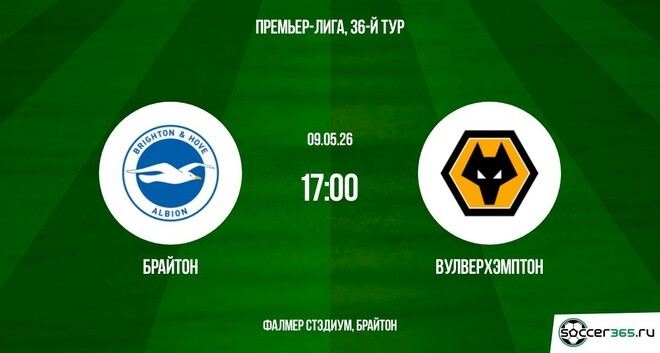 Брайтон ― Вулверхэмптон: превью