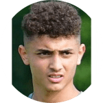 M. Moustafa