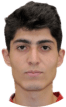 L. Bashoyan