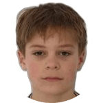 N. Godec