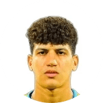 Abdel Karim Shehata