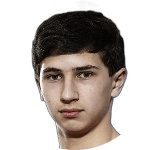 P. Aleqyan