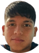 D. Pereira