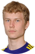 P. Pesonen