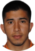 L. Ibarra