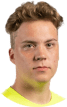 T. Korhonen