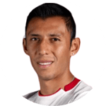 D. Navarro