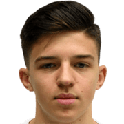 Тарик Мухаремович