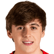 Чарли Холланд