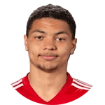 I. Hellgren Villegas