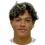 F. Castillo-Orellana