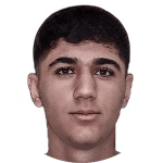 K. Arık