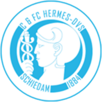 Hermes-DVS