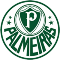 Palmeiras Braga