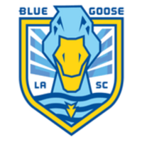 Blue Goose