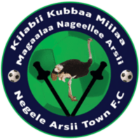 Negele Arsi Ketema