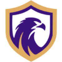 Фалкон ФК U17