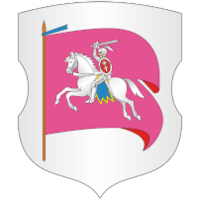 ДЮСШ 2 Речица