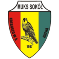 Sokół Kolbuszowa Dolna