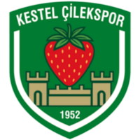 Кестел Беледиеспор