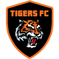 Кума Тайгерс