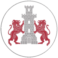 Дунареа Туррис