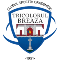 Триколор Бряза