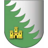 Хойники