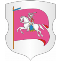 DYuSSh 2 Rechitsa